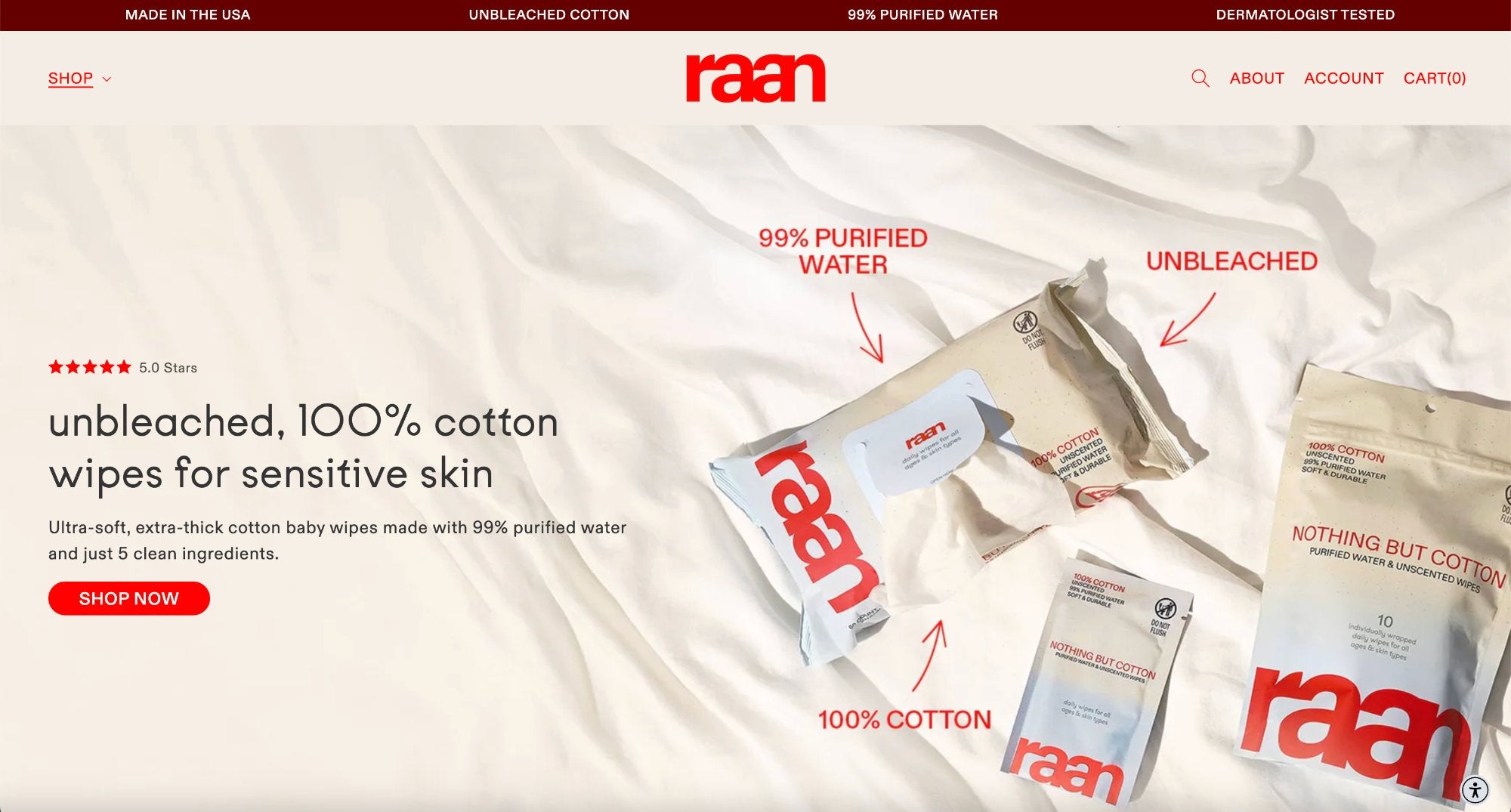 Raan above-the-fold example